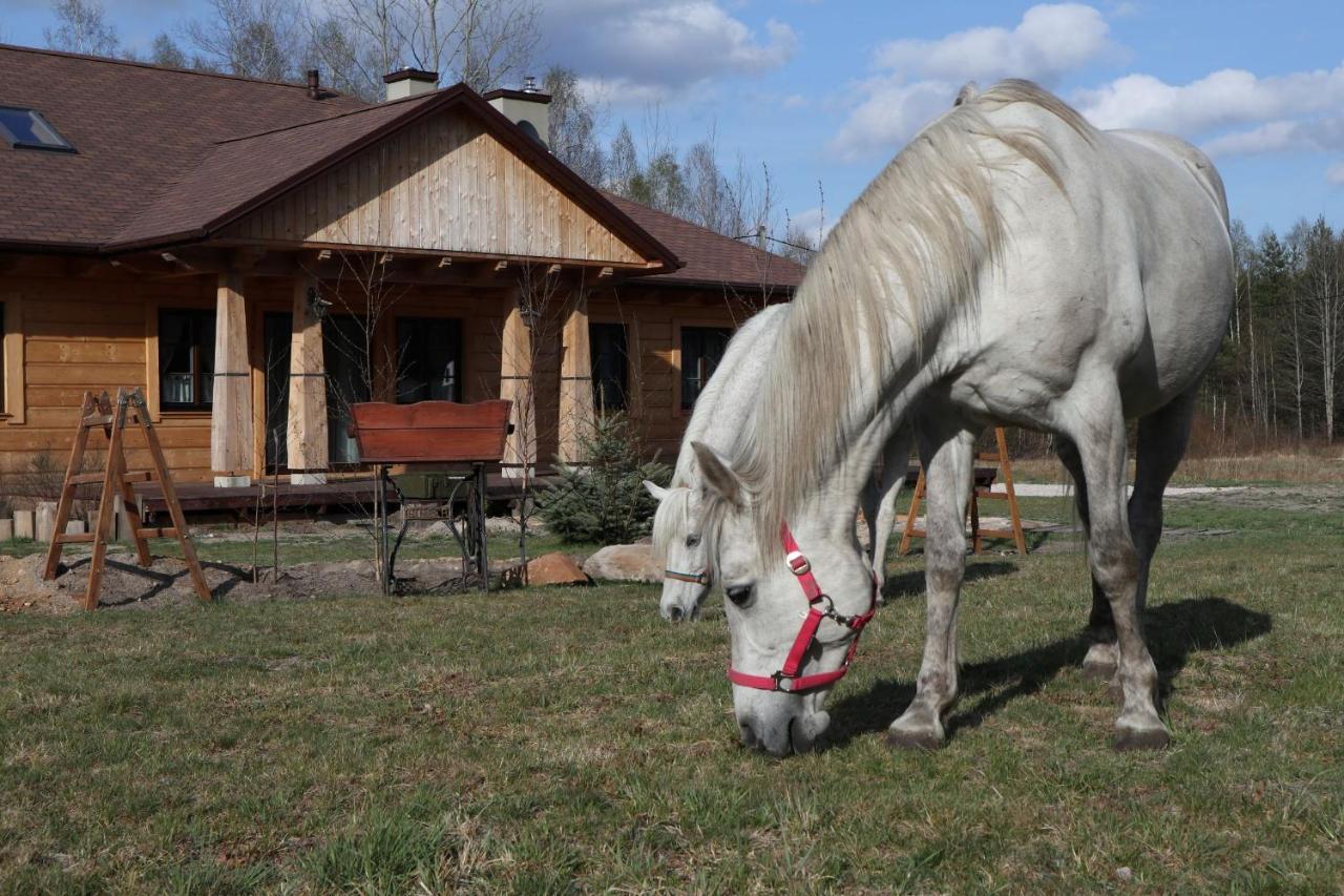 Chata Pod Swinia Gora Blizyn Exterior foto